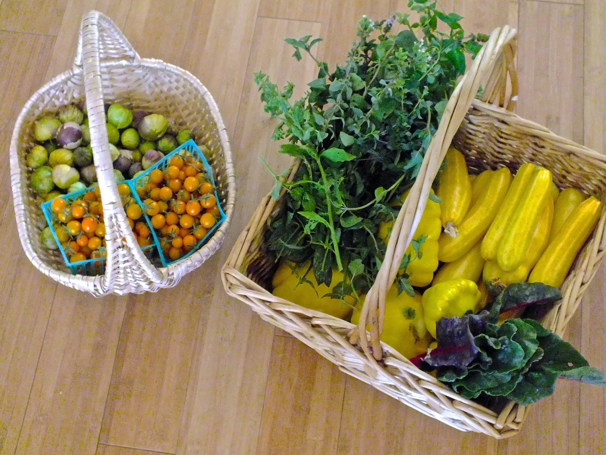 10505043_10152394740104690_8671768928015635141_o