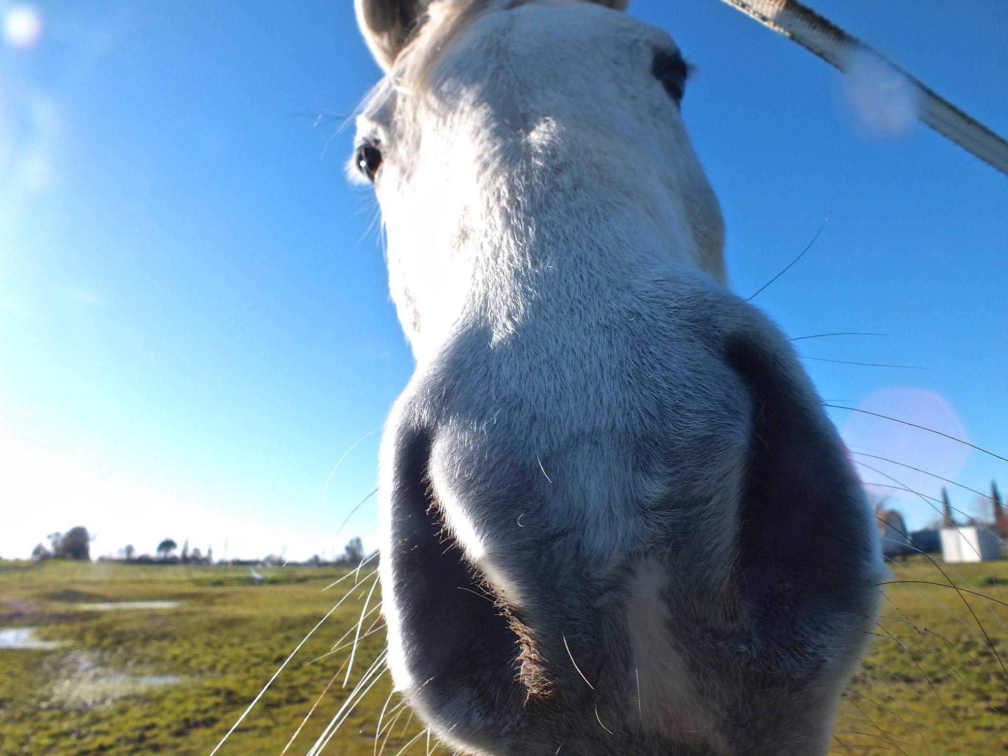 16991612_10154641455619690_7484274060945521314_o