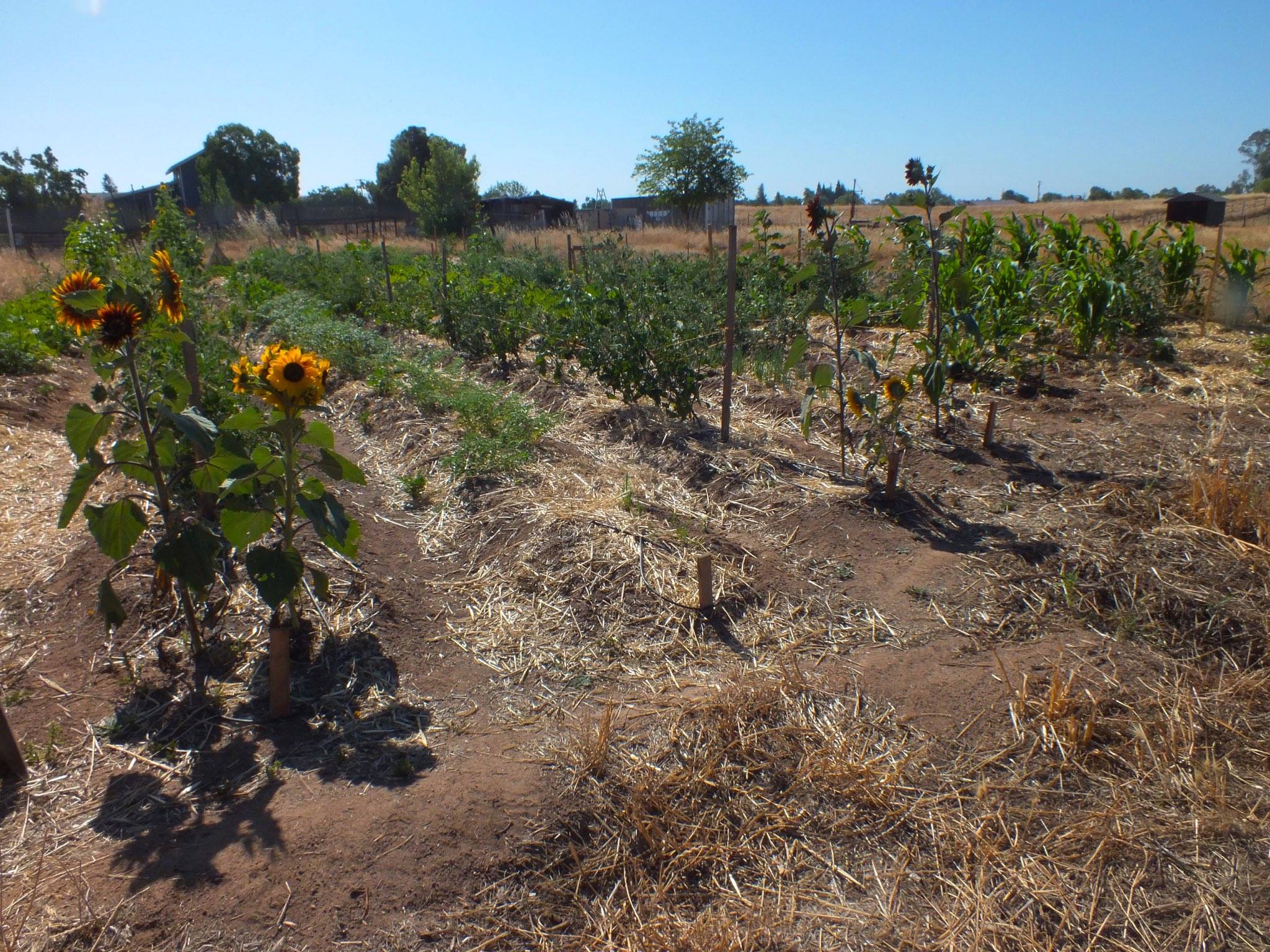 1979235_10153120350729690_797752675210020512_o