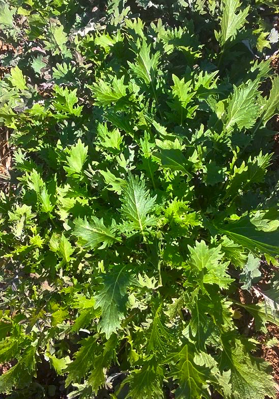 18882108_10154907009664690_7275239681025141023_n