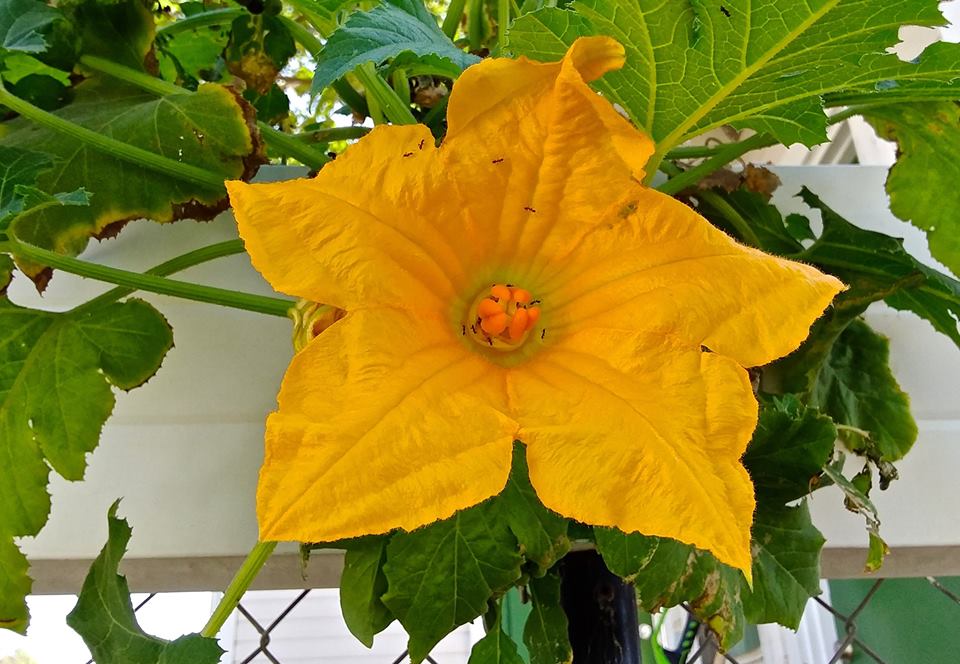 22089942_10155265358499690_8240641704118396061_n