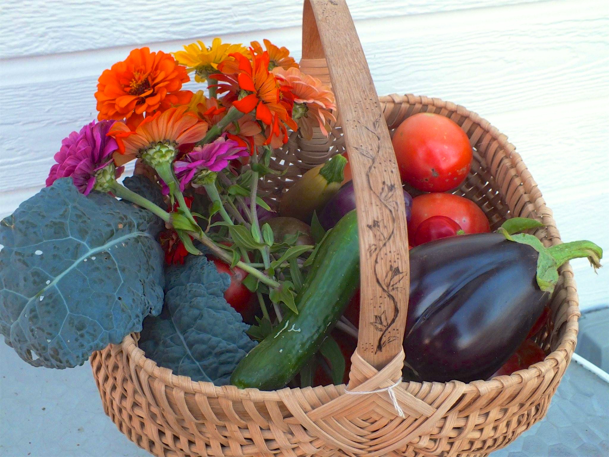 12185152_10153416105344690_7590026284744056790_o - Version 2.jpg