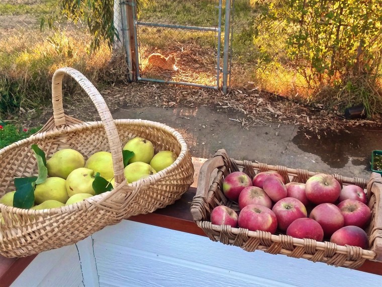 43952603_10156176655929690_1519803220258455552_o