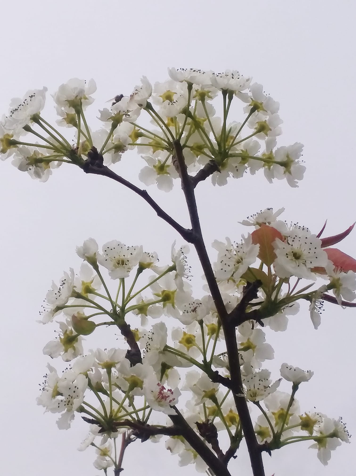 56440218_10156546895569690_6608375142781288448_o(1)