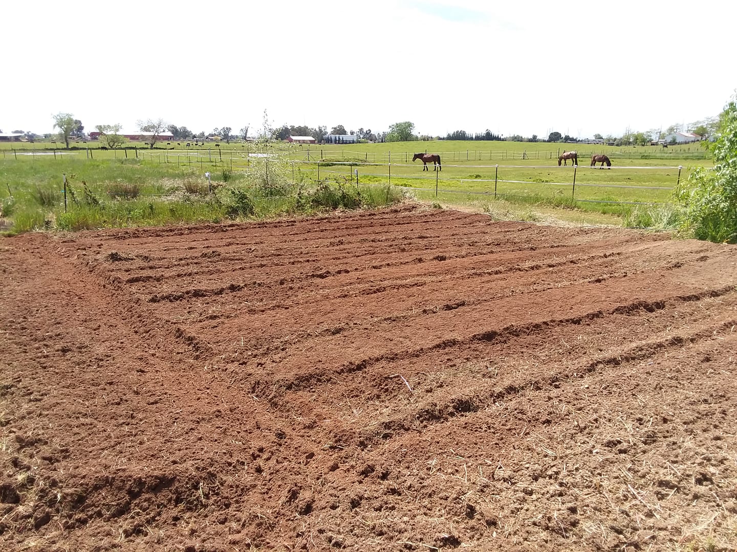 56862400_10156566366539690_8003084653109968896_o