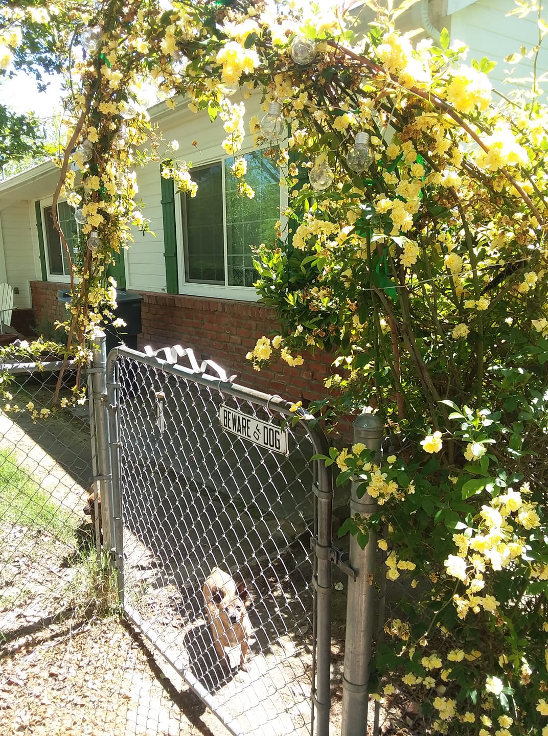 57238758_10156575802819690_4495794039706091520_o