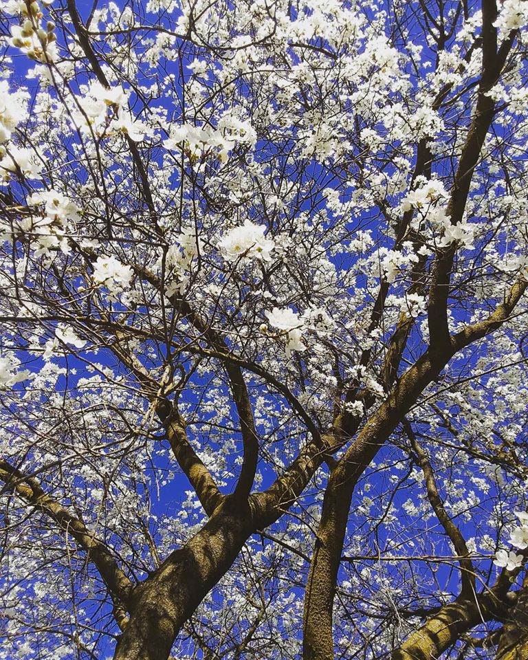 87857630_2480028368769725_1131917177499156480_o