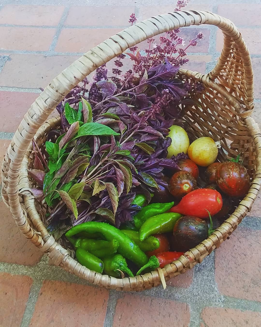 mediterranean veggies 2020