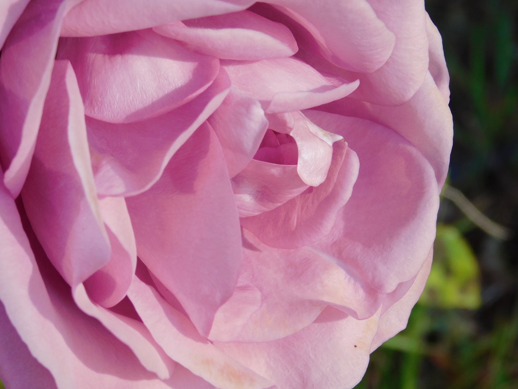 40164705-9A1C-451B-82A3-C4681689A89B_1_105_c