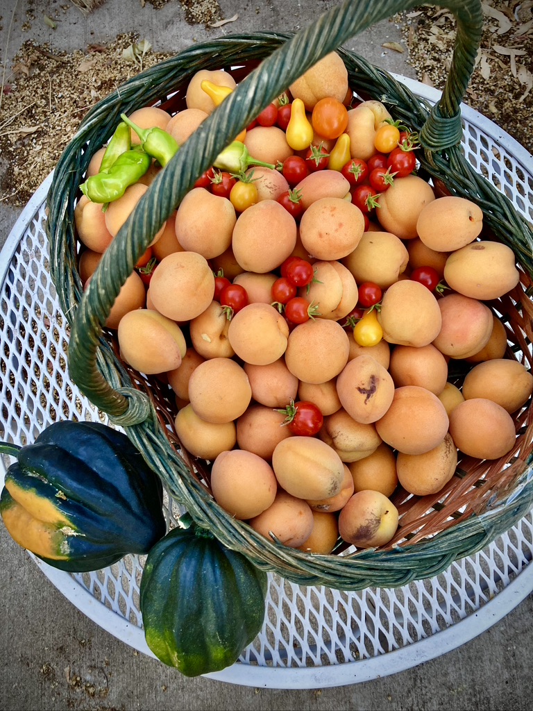 55416427-EEEC-4B92-8DB9-656007D48159_1_105_c