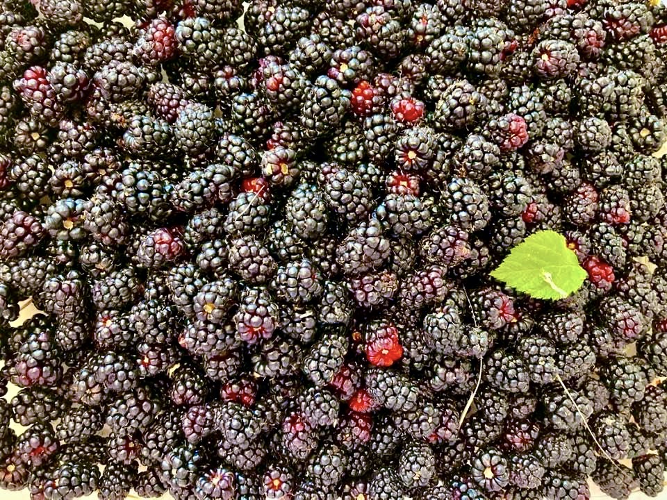 6D96CA23-08F9-4ECC-B65D-6FE4B8B7329B_1_201_a