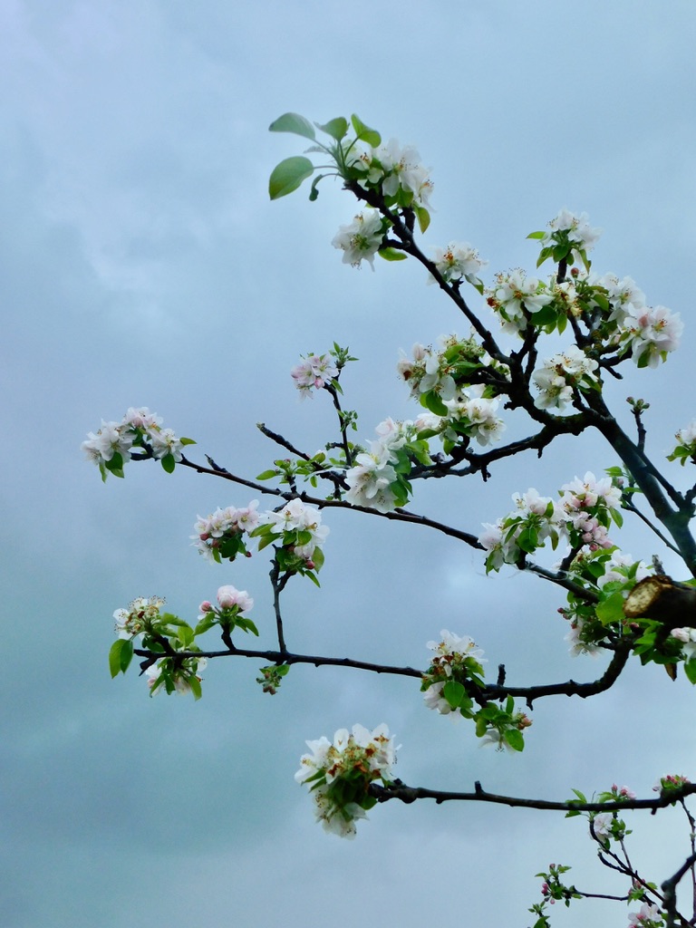 CF1A62DE-F4A1-4804-87C6-635AC3C9385F_1_105_c