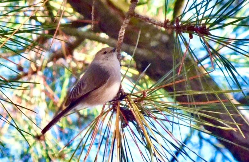 D74D41F5-CC1F-4814-B240-C8DE88F78AEE