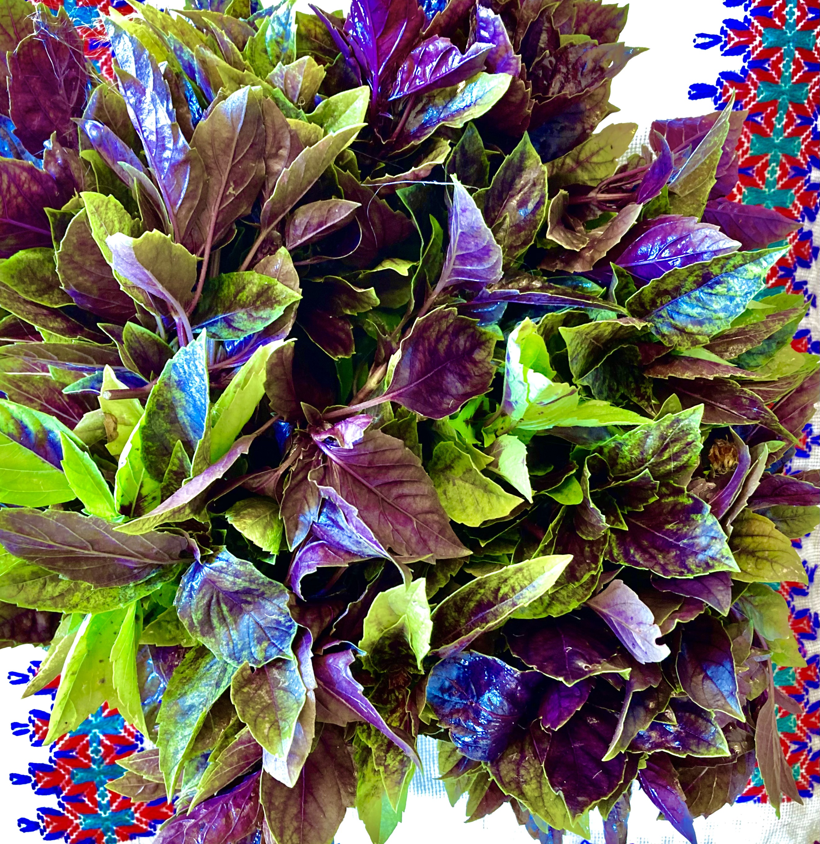 E18145AB-8FF2-4144-97BA-12FA021FB455