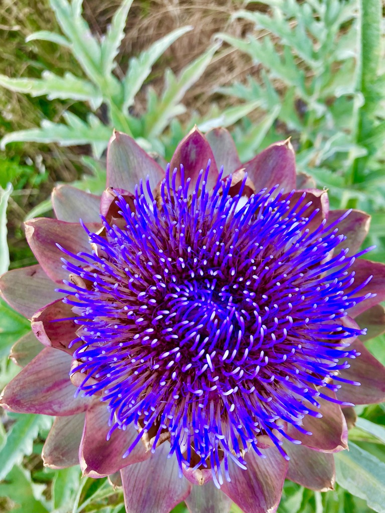 EB53CD12-D0ED-4919-B7B9-3B9C16B395CA_1_105_c