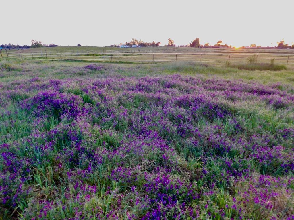 EB57A980-B3BF-430B-B2A8-FA0E04C91EF5_1_105_c