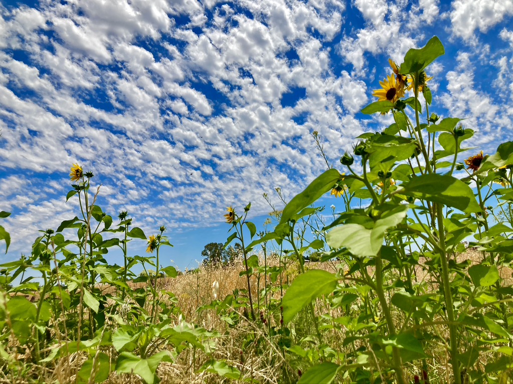 ECDE7DCE-7FB2-4AD3-B660-191258B371B5_1_105_c